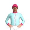 Jockey Silk