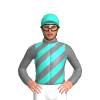Jockey Silk