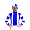 Jockey Silk