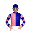 Jockey Silk