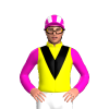 Jockey Silk