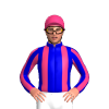 Jockey Silk