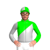 Jockey Silk