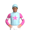 Jockey Silk