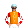 Jockey Silk