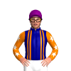 Jockey Silk