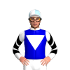 Jockey Silk
