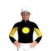 Jockey Silk