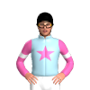 Jockey Silk