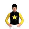 Jockey Silk