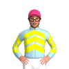 Jockey Silk