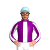 Jockey Silk