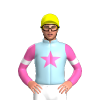 Jockey Silk