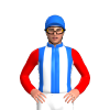 Jockey Silk