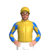 Jockey Silk