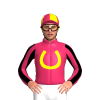 Jockey Silk
