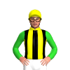 Jockey Silk
