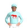 Jockey Silk