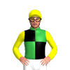Jockey Silk