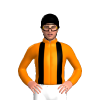 Jockey Silk