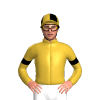 Jockey Silk