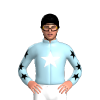 Jockey Silk