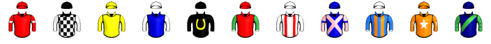 Runner silk