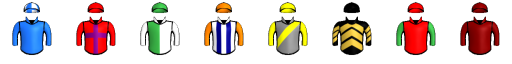 Runner silk