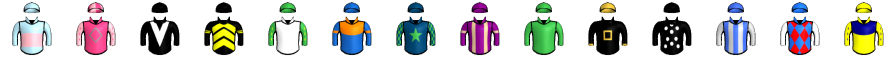Runner silk