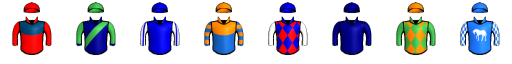Runner silk