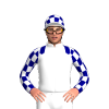 Jockey Silk