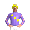 Jockey Silk