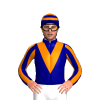 Jockey Silk