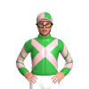 Jockey Silk