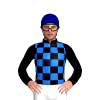 Jockey Silk