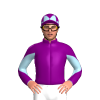 Jockey Silk