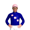 Jockey Silk