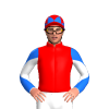 Jockey Silk