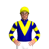 Jockey Silk