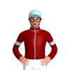 Jockey Silk
