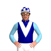 Jockey Silk