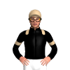 Jockey Silk