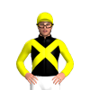 Jockey Silk