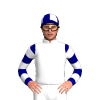 Jockey Silk