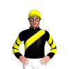 Jockey Silk