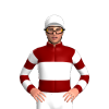 Jockey Silk