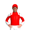 Jockey Silk