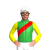 Jockey Silk