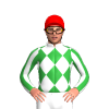 Jockey Silk