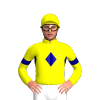 Jockey Silk